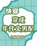 快穿穿成年代文男配