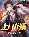 上门龙婿可乐