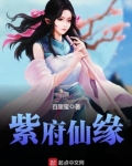 紫府仙缘小说全文免费阅读