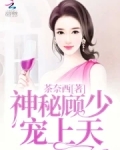 神秘顾少掌中宝免费阅读