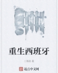重生西班牙做大公
