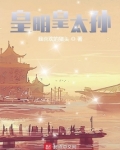 皇明皇太孙TXT下载网盘