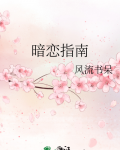 暗恋指南风流书呆免费阅读