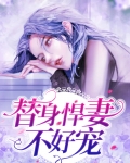 替身不好当 小说