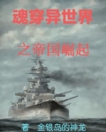 魂穿异世界之帝国崛起免费阅读