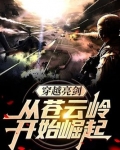 穿越亮剑：从苍云岭开始崛起