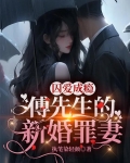 傅先生隐爱成婚