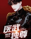 医武独尊