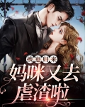 携崽归来:妈咪又去虐渣啦