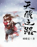 天醒之路小说