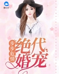 步步危情老婆求复婚