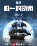 我是唯一的玩家笔趣阁小说