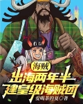 海贼:出海两年半,建皇级海贼团百度小说