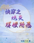 《快穿之炮灰的心愿》