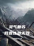 灵气复苏：我靠炼器无敌