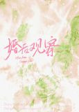 婚后观察综艺