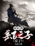 南宋：我，岳飞之子！反了！
